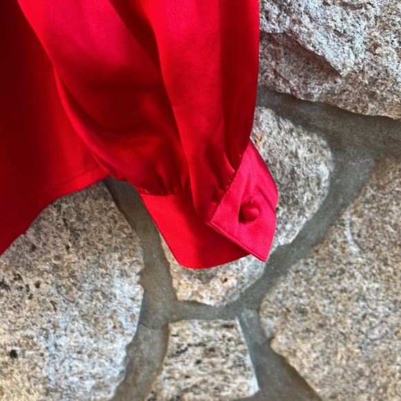 Argenti 100% silk button down blouse - Picture 6 of 7